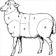 Meat Factory Ear Worms